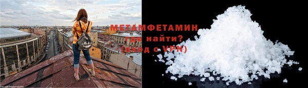 прущие грибы Бронницы