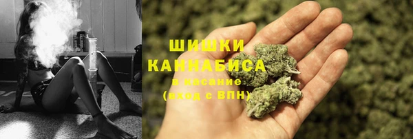 прущие грибы Бронницы