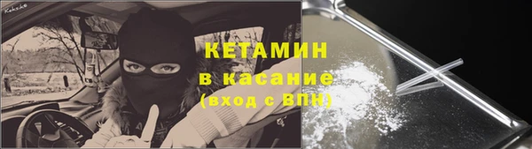 прущие грибы Бронницы