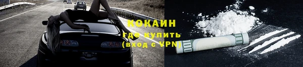 твердый Богородск
