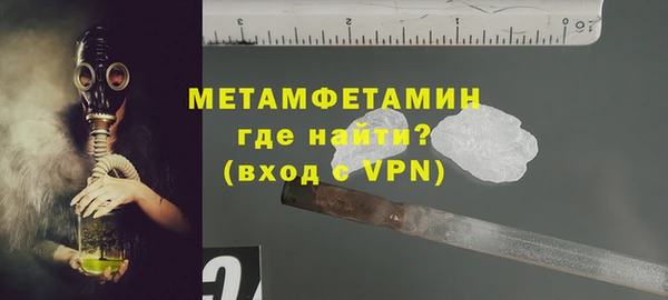 прущие грибы Бронницы