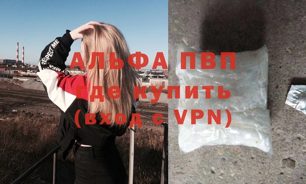 амф Бородино