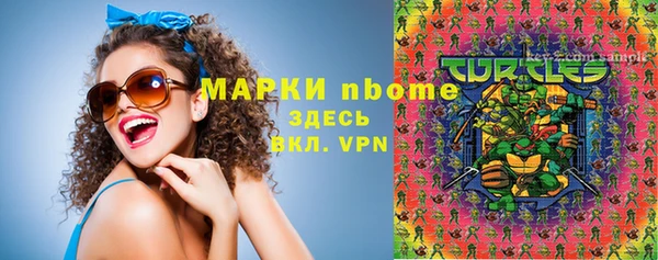 прущие грибы Бронницы