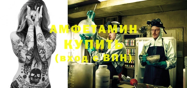 амф Бородино