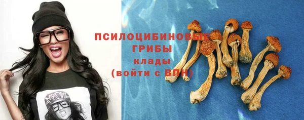 альфа пвп Бугульма