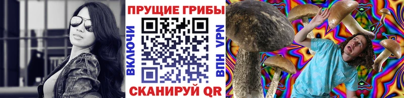 omg маркетплейс  Горячий Ключ  Псилоцибиновые грибы Magic Shrooms 